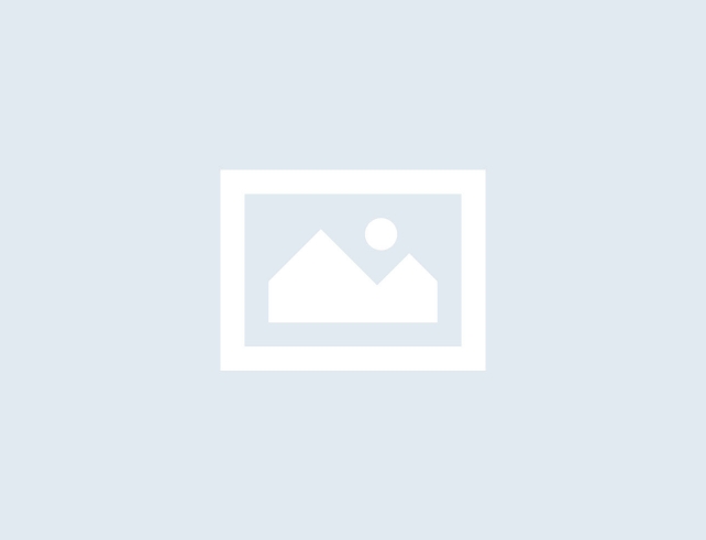 Basic Rules for Free Mockup Designs